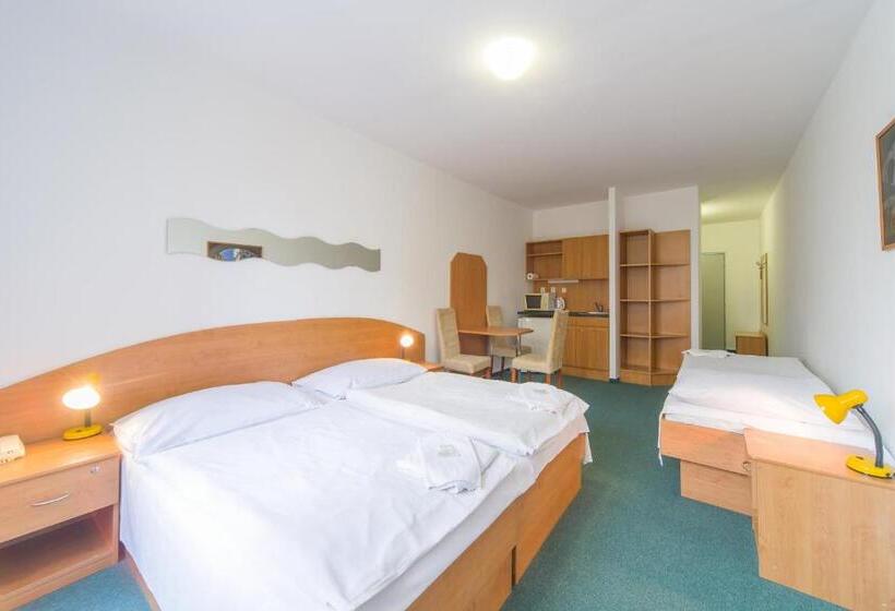 فندق Arnost Garni