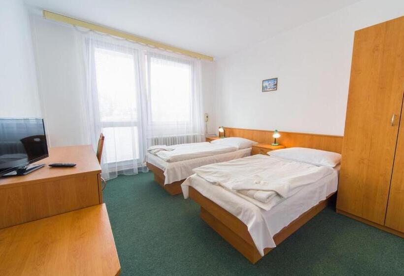 فندق Arnost Garni