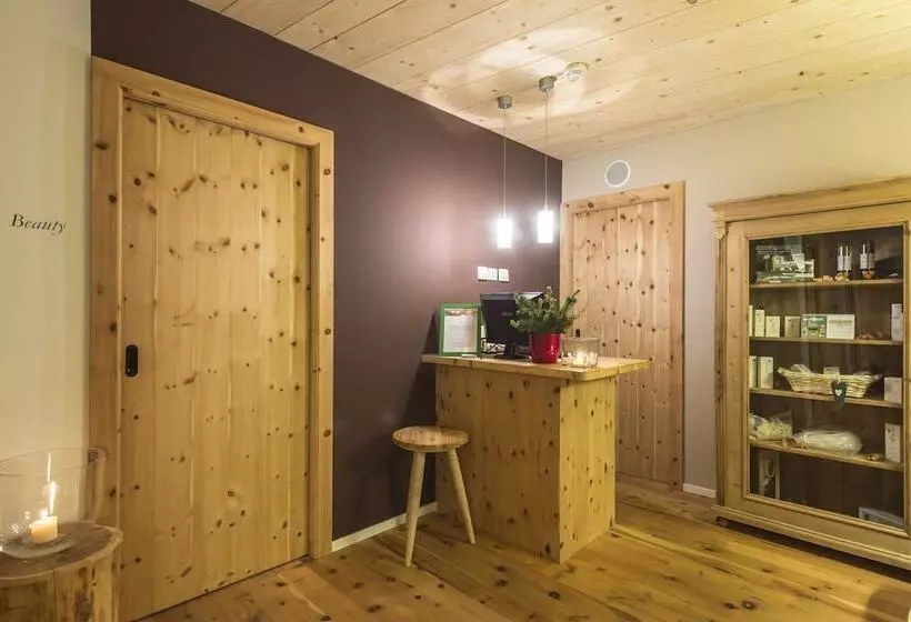 Отель Drumlerhof