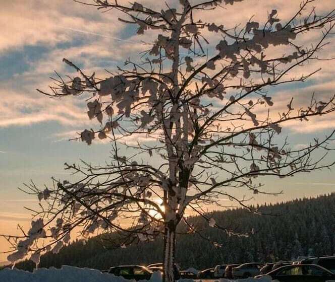 酒店 Haus Oberland