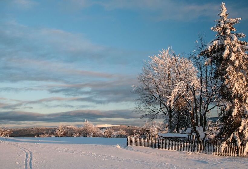 酒店 Haus Oberland