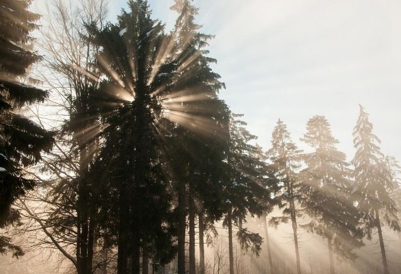 酒店 Haus Oberland