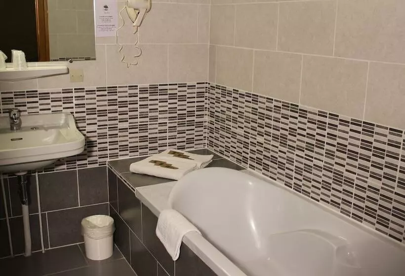 Отель Hôtel Des Alliés