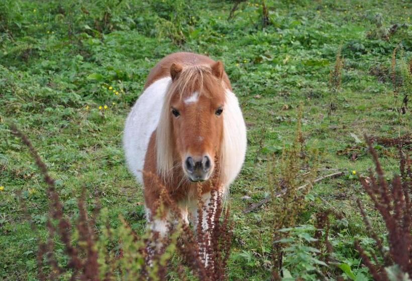 Отель Jägerklause