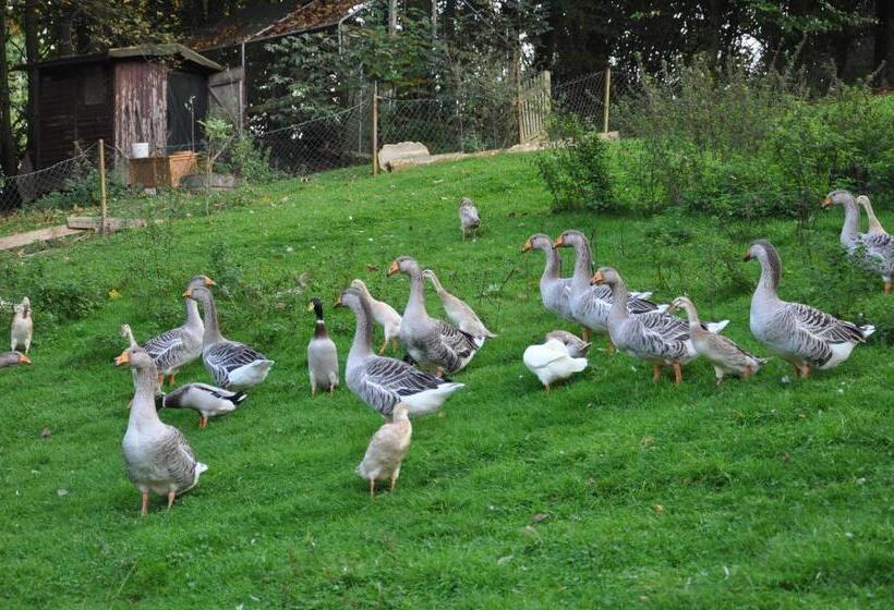 Отель Jägerklause