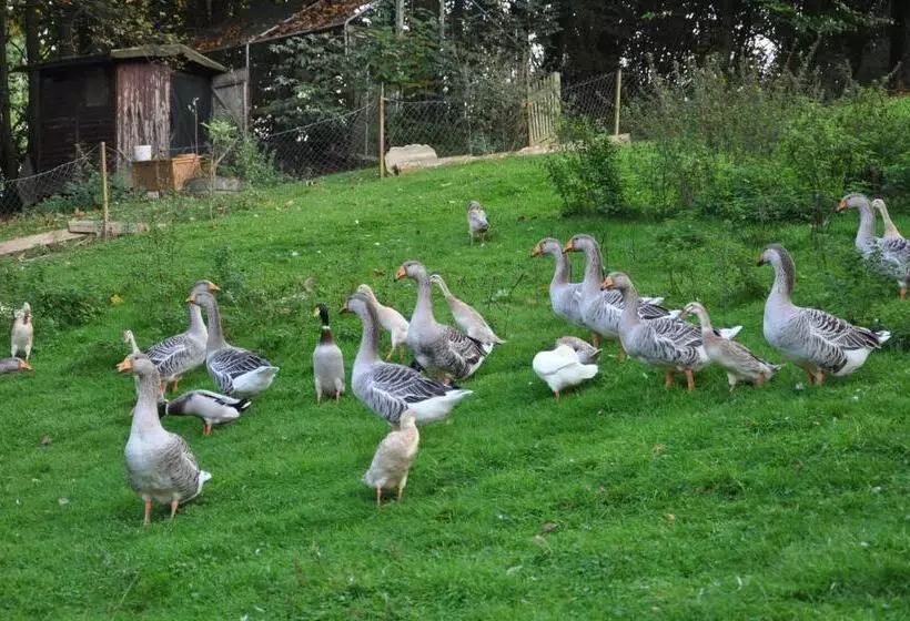 בית מלון כפרי Jägerklause