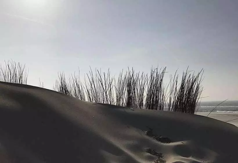 هتل Kogerstaete Texel