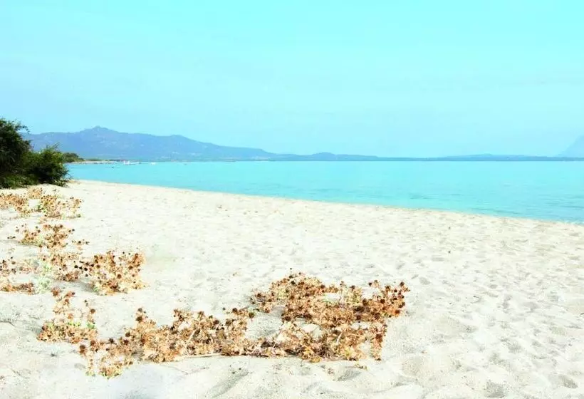 هتل Li Suari Club Village