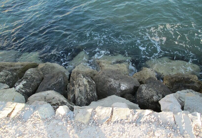 فندق Pansion Amigos