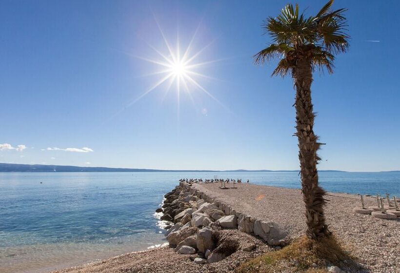 فندق Pansion Amigos