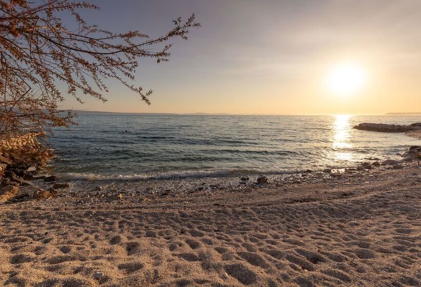 فندق Pansion Amigos