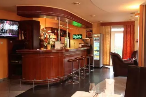 Hotelli Willa Wolność