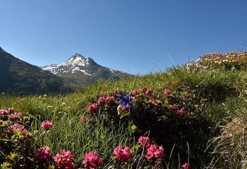 Ski In/ski Out Hotel Sport