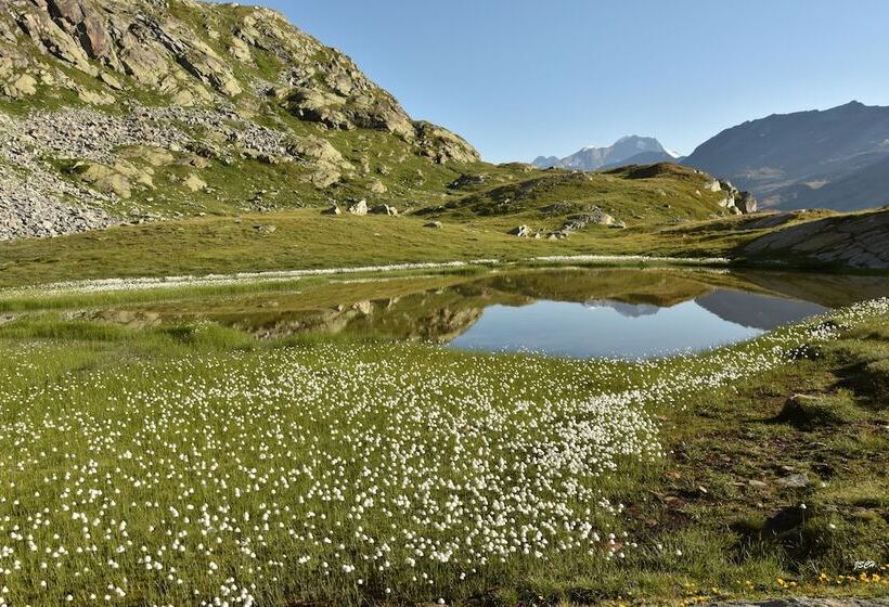 Ski In/ski Out Hotel Sport