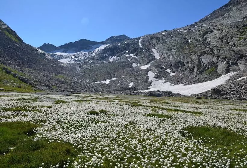 Ski In/ski Out Hotel Sport