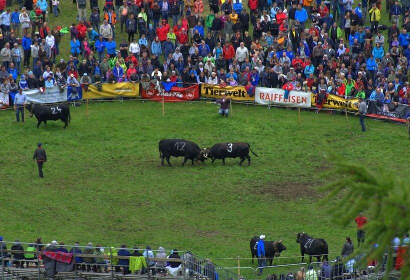 Ski In/ski Out Hotel Sport