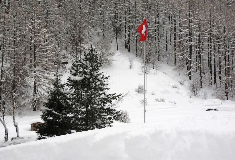 Ski In/ski Out Hotel Sport