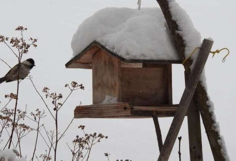 Ski In/ski Out Hotel Sport