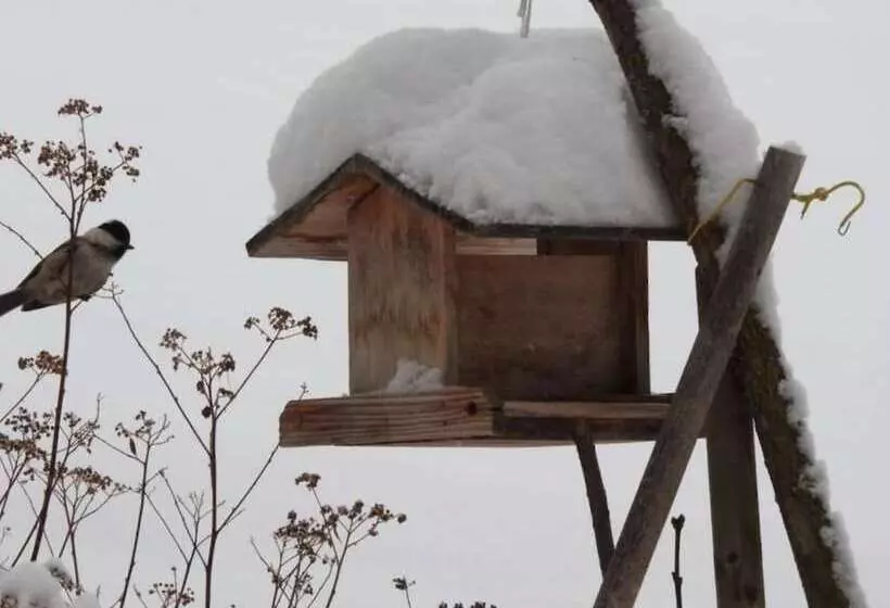 Ski In/ski Out Hotel Sport