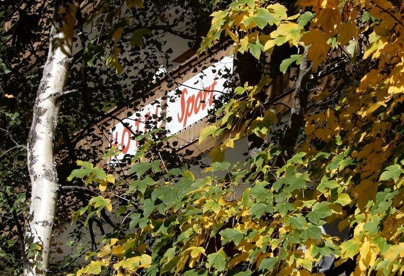 Ski In/ski Out Hotel Sport