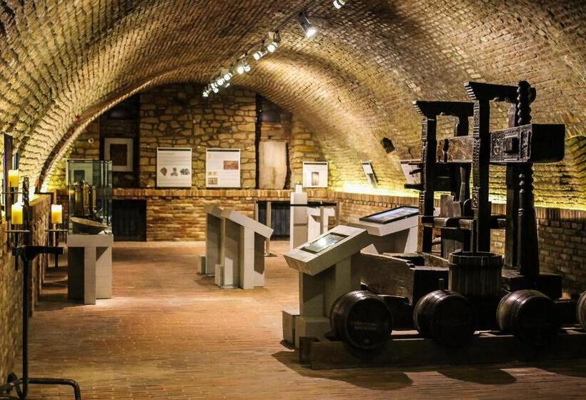 Zenit Wellness Hotel Balaton