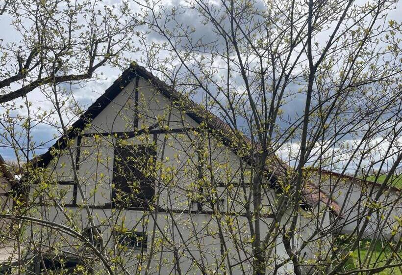 酒店 Landgasthof Zum Seehof