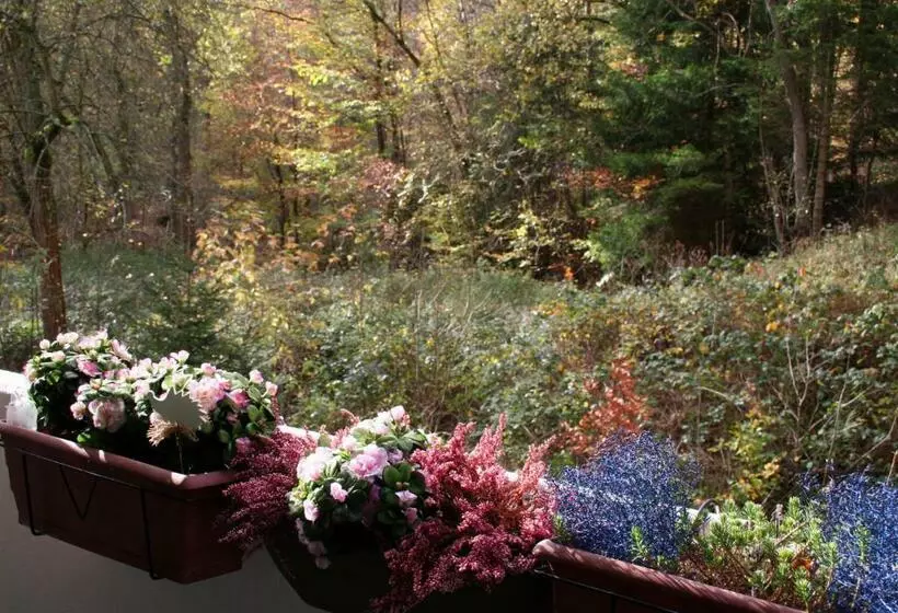 Kurhaus Apartment King Size Bett 180x200