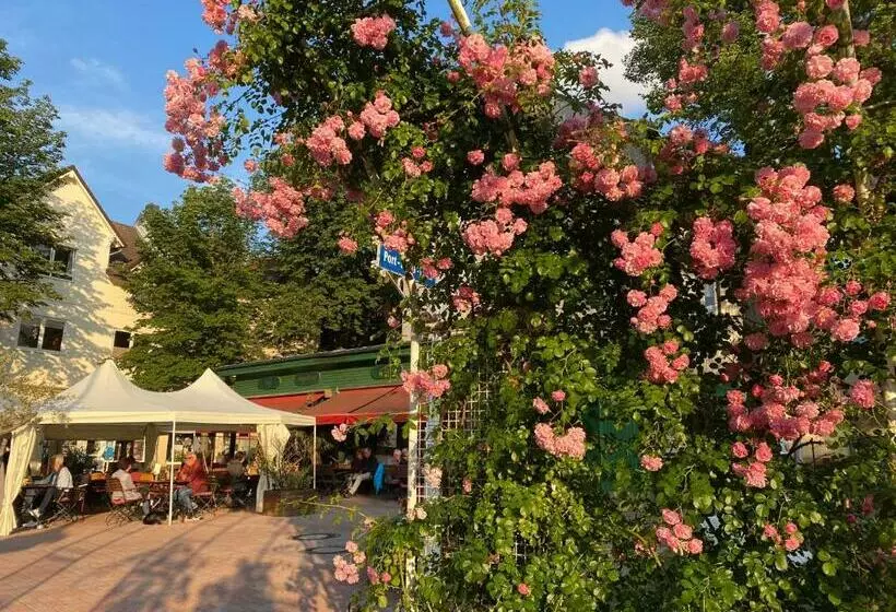 Kurhaus Apartment King Size Bett 180x200