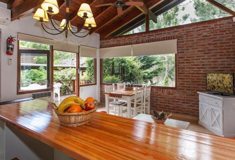 Cabañas La Mandrágora