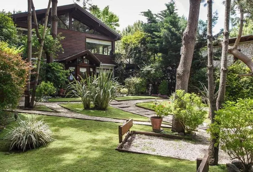 Cabañas La Mandrágora