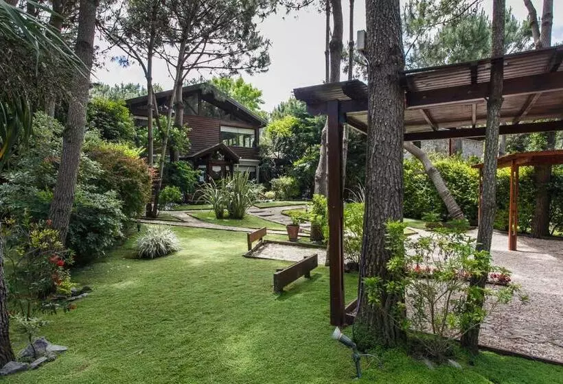 Cabañas La Mandrágora