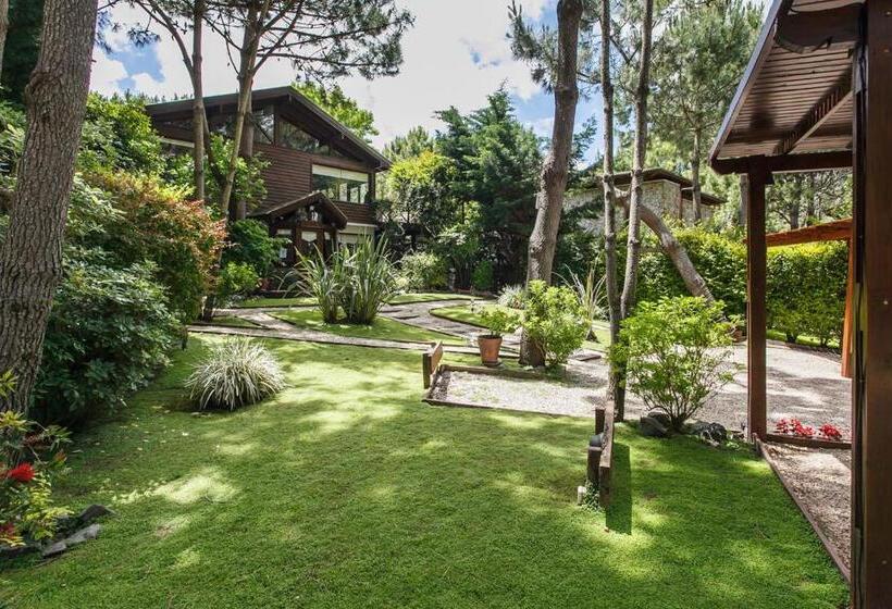 Cabañas La Mandrágora