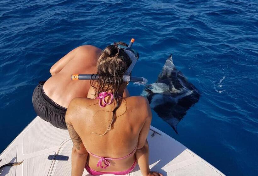 پانسیون Paguro Villa