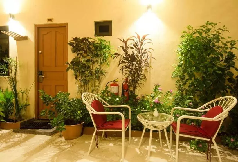 پانسیون Paguro Villa