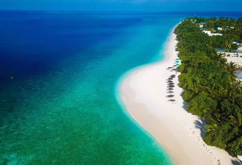 پانسیون Paguro Villa