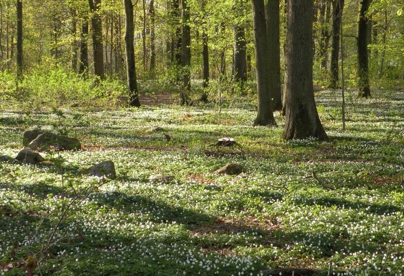 Best Western Valhall Park Hotell