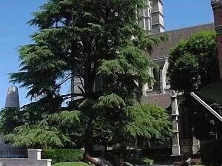 Cit Hotel   Hotel Le Cèdre