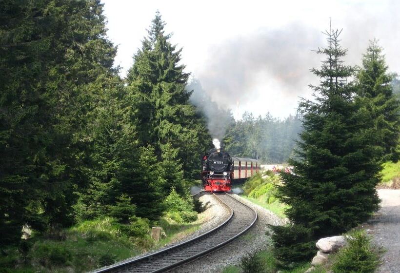 فندق Englischer Hof