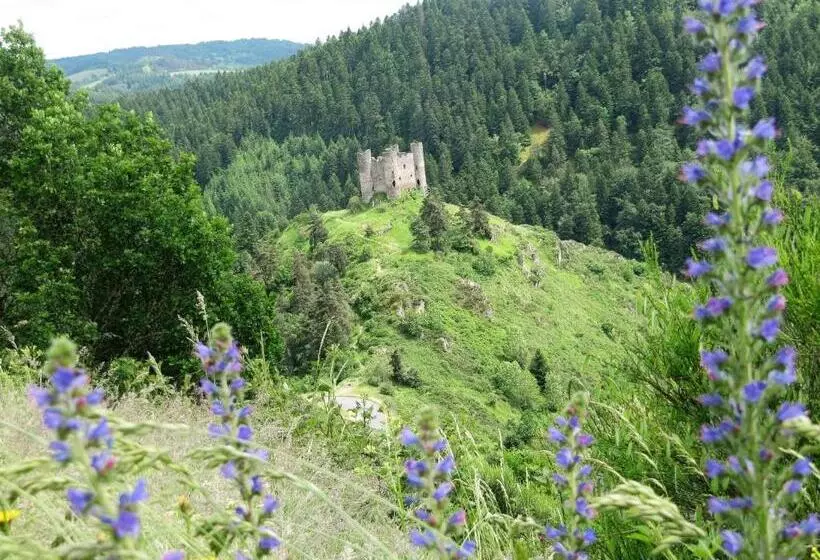 Отель Hôtel Des Rochers