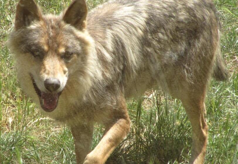 فندق Hôtel Des Rochers