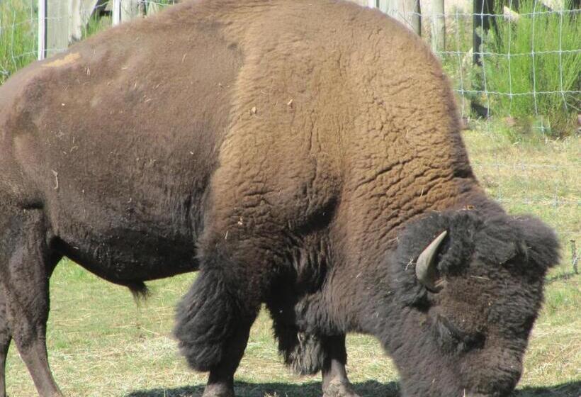 فندق Hôtel Des Rochers