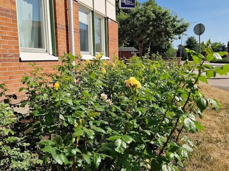 Hotel Charlotte / Stella