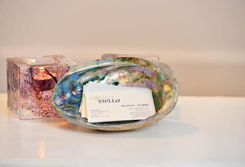 فندق Charlotte / Stella