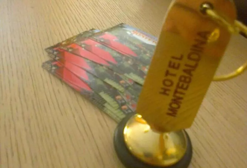 Отель Montebaldina