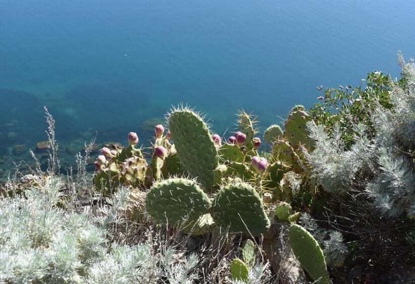 住宿加早餐  Upper   Boutique