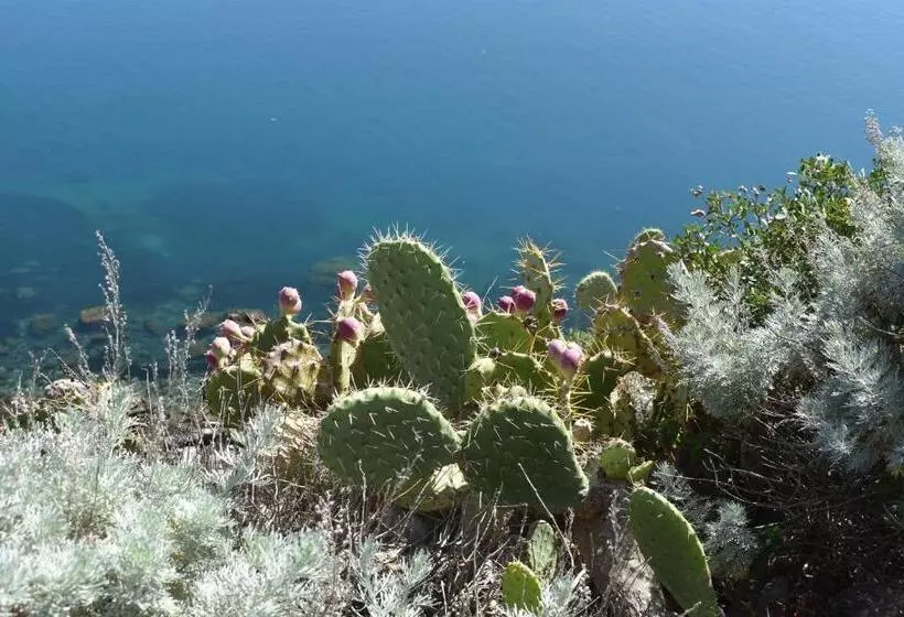 Aamiaismajoitus (B&B) Upper   Boutique