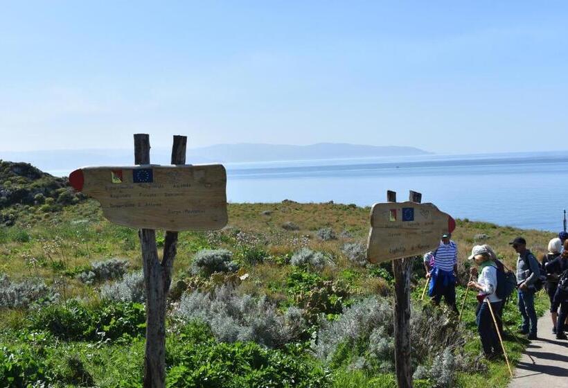 住宿加早餐  Upper   Boutique