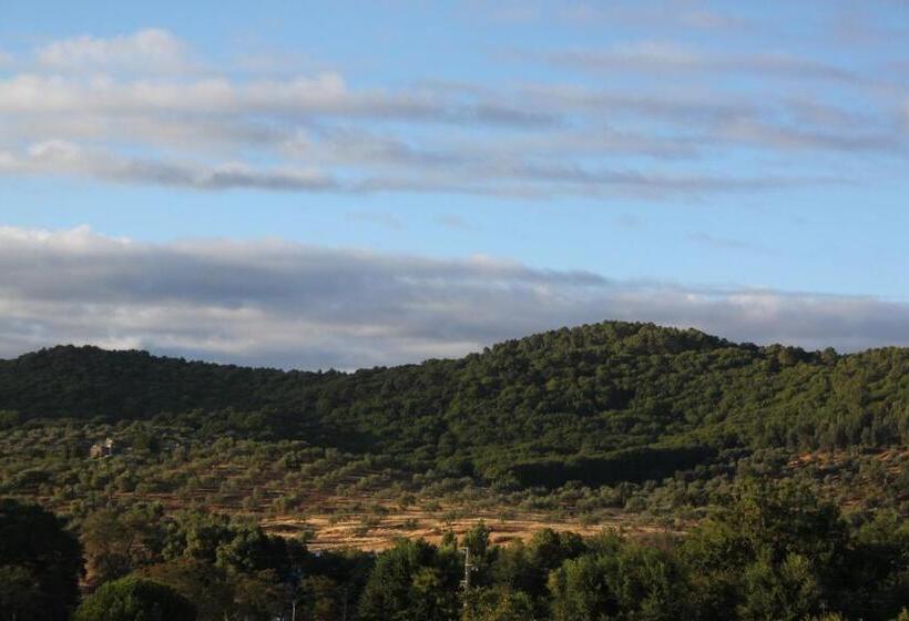 膳宿费 El Palacio De San Benito