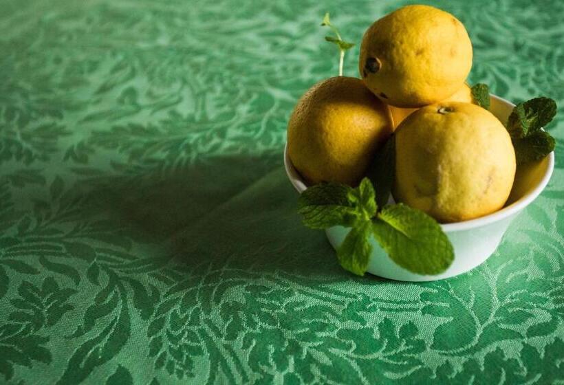 膳宿费 El Palacio De San Benito