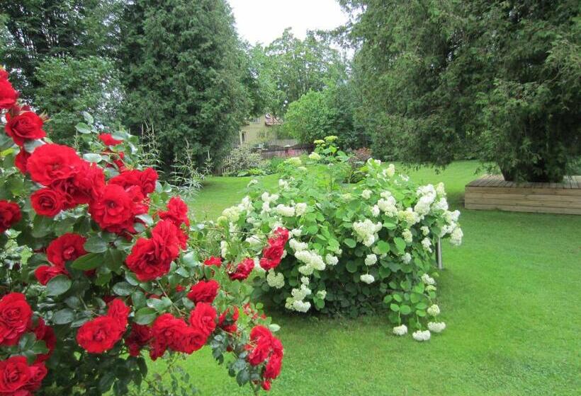 پانسیون Livonija